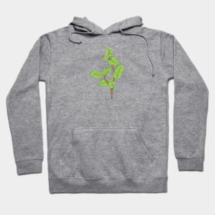 Mint Plant Botanical Hoodie